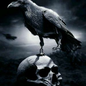 Meet your Posher, Cory